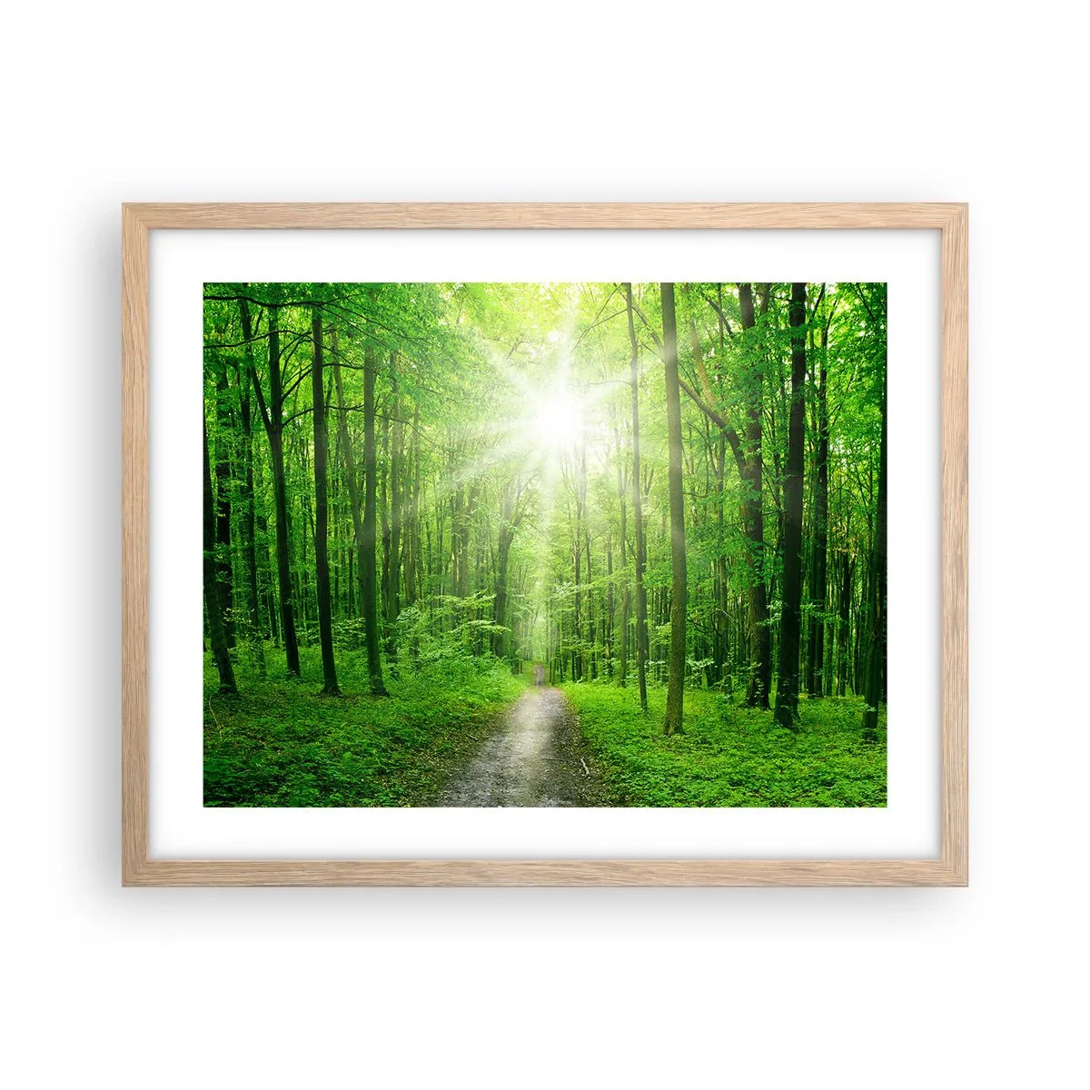 Pôster com moldura de carvalho claro - Catedral Verde - 50x40 cm