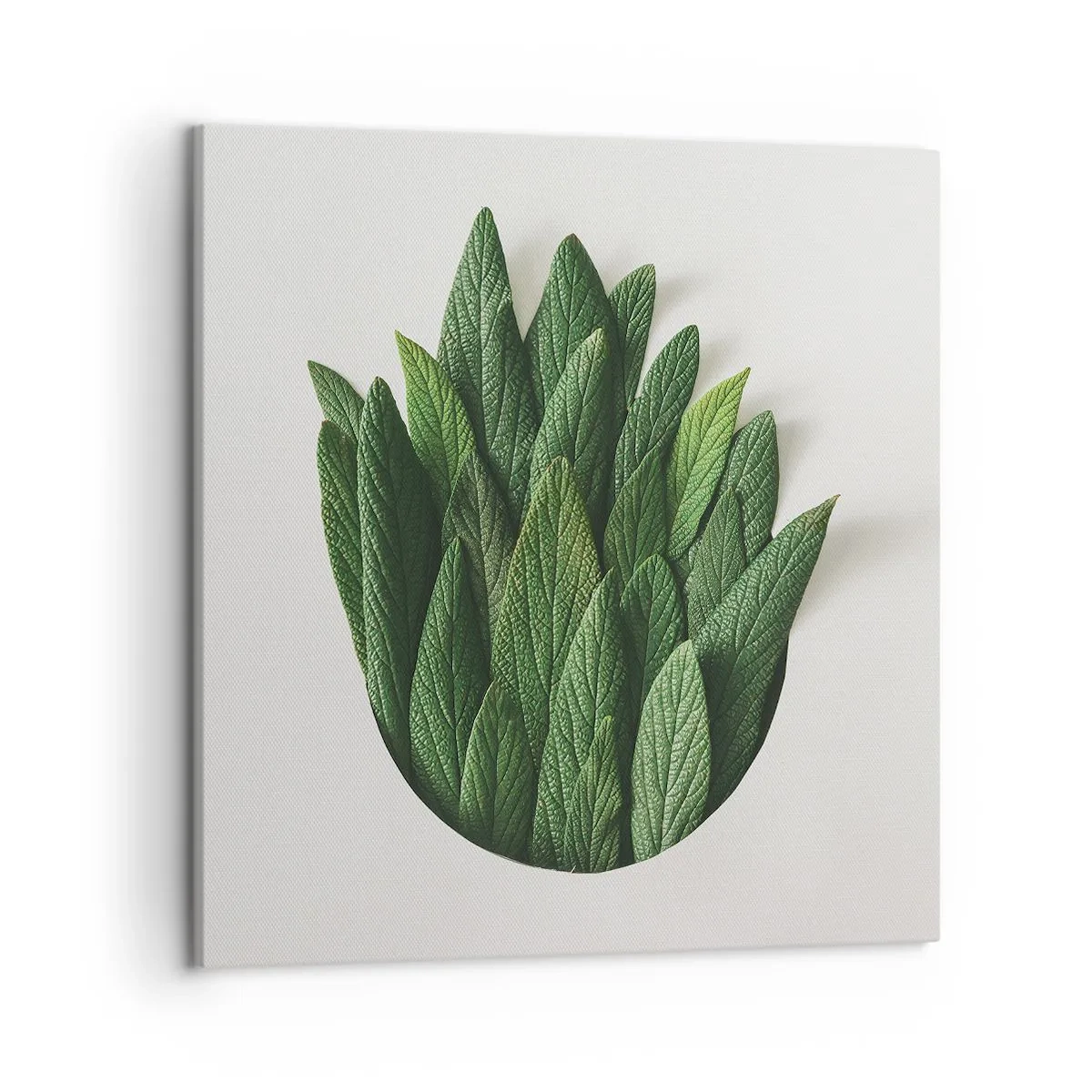 Quadro em tela - Curiosidade indomável - 50x50 cm