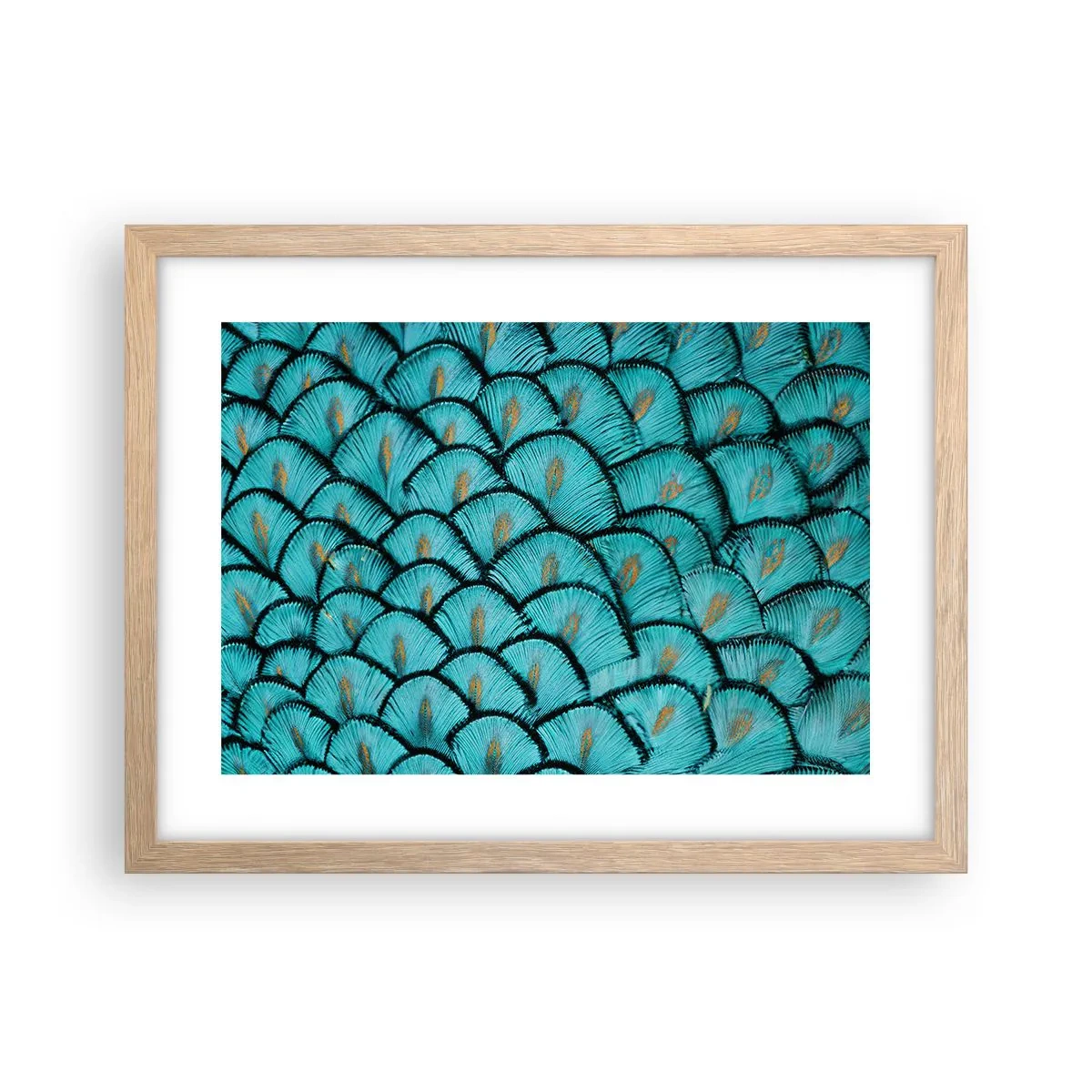 Pôster com moldura de carvalho claro - A grande gala de penas - 40x30 cm