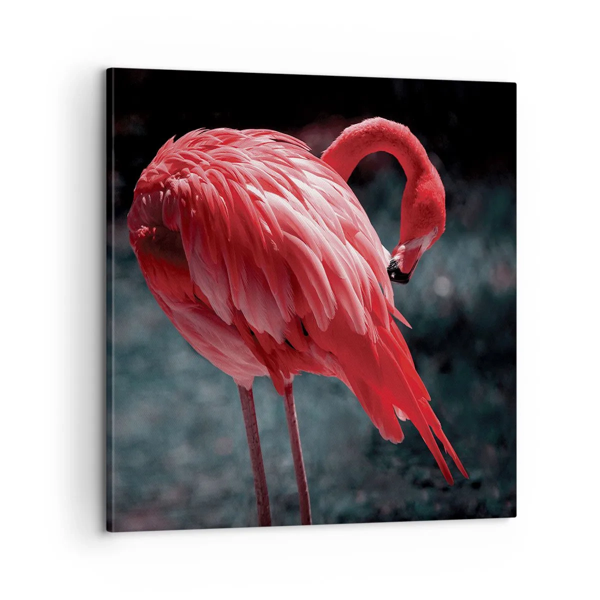 Quadro em tela - Poema carmesim da natureza - 60x60 cm