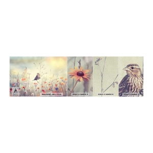 Amostra de papel de parede Premium Sand - Retrato de um pássaro com um prado no fundo - Pássaro, Prado, Natureza - 100x30 cm