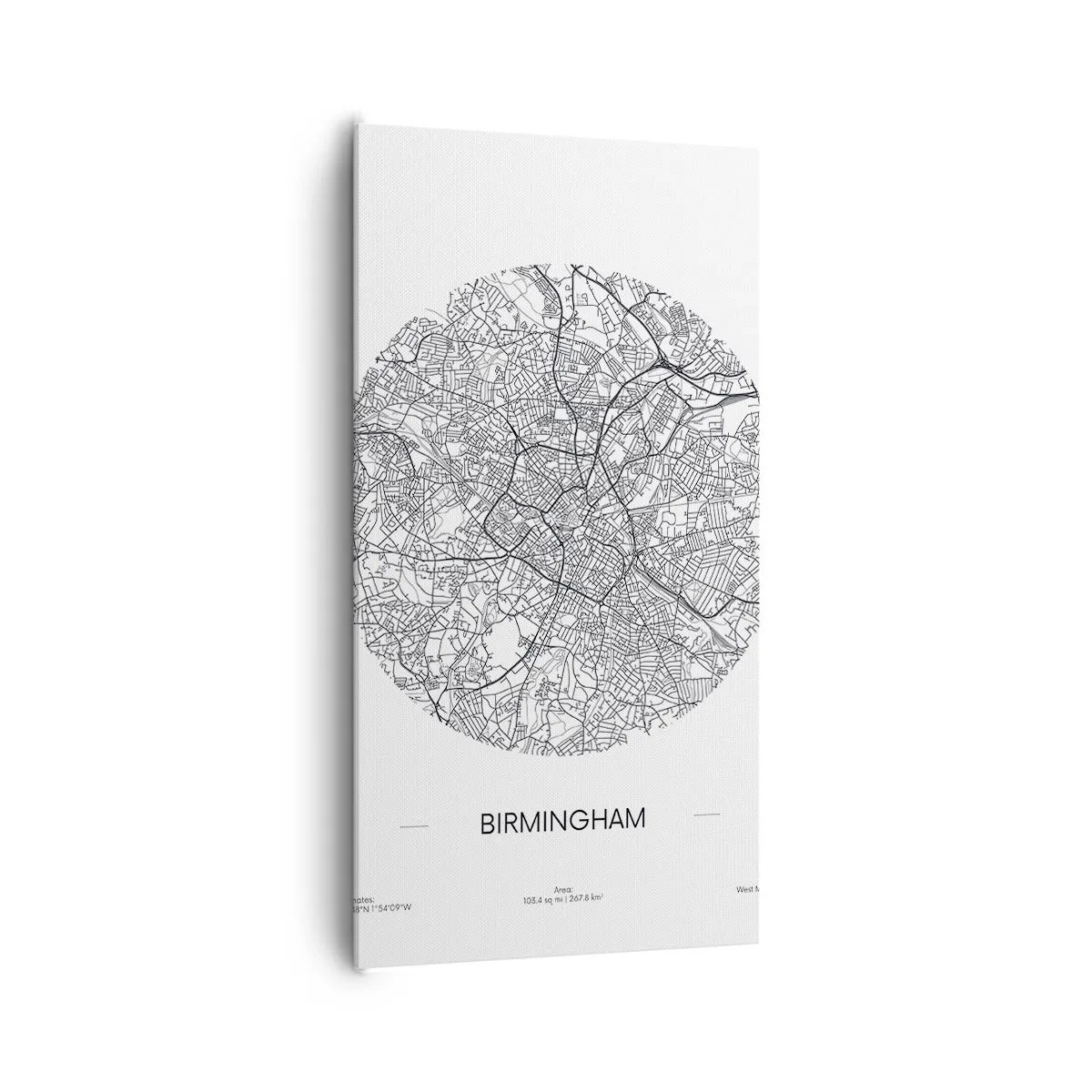 Quadro em tela - Anatomia de Birmingham - 65x120 cm