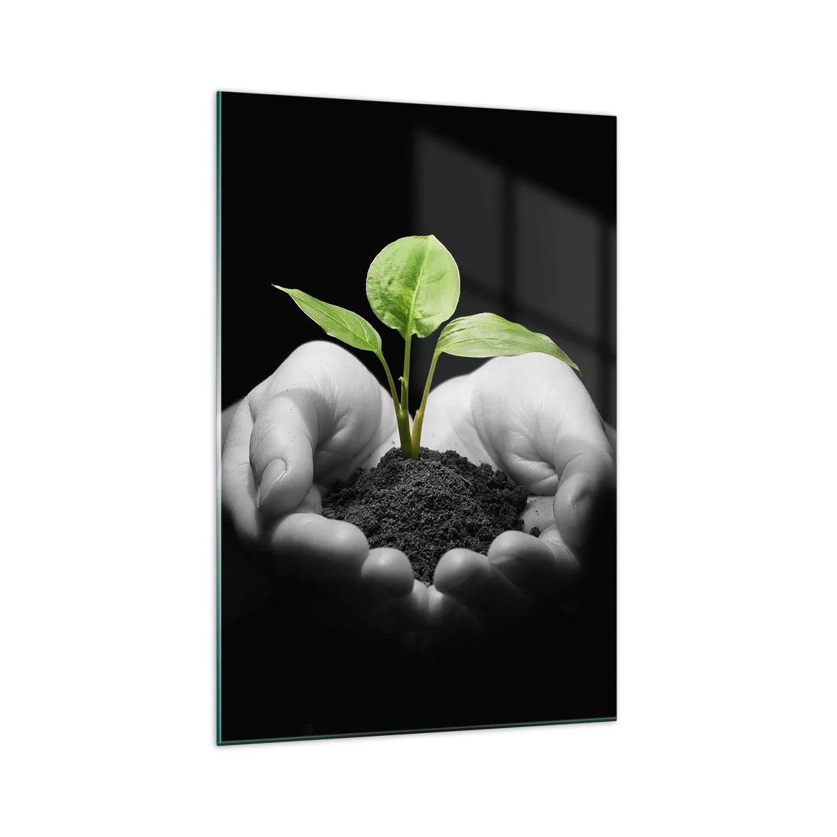 Quadro em vidro - Eu amo a natureza, eu a protejo - 70x100 cm