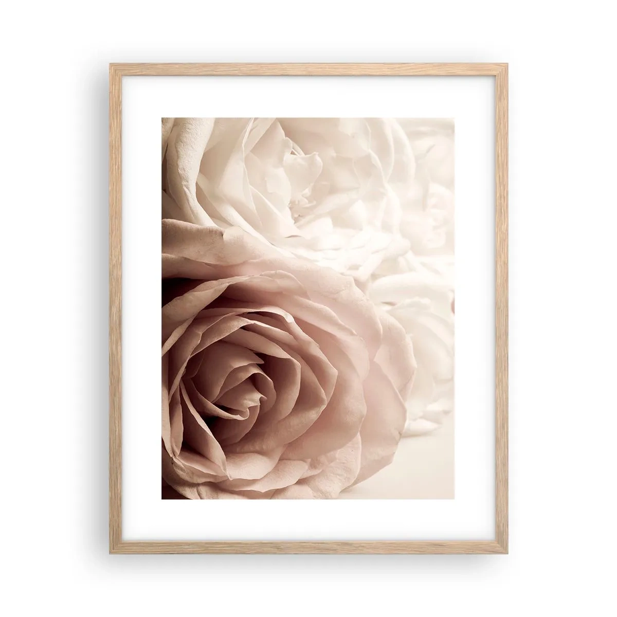 Pôster com moldura de carvalho claro - No coração de uma rosa - 40x50 cm