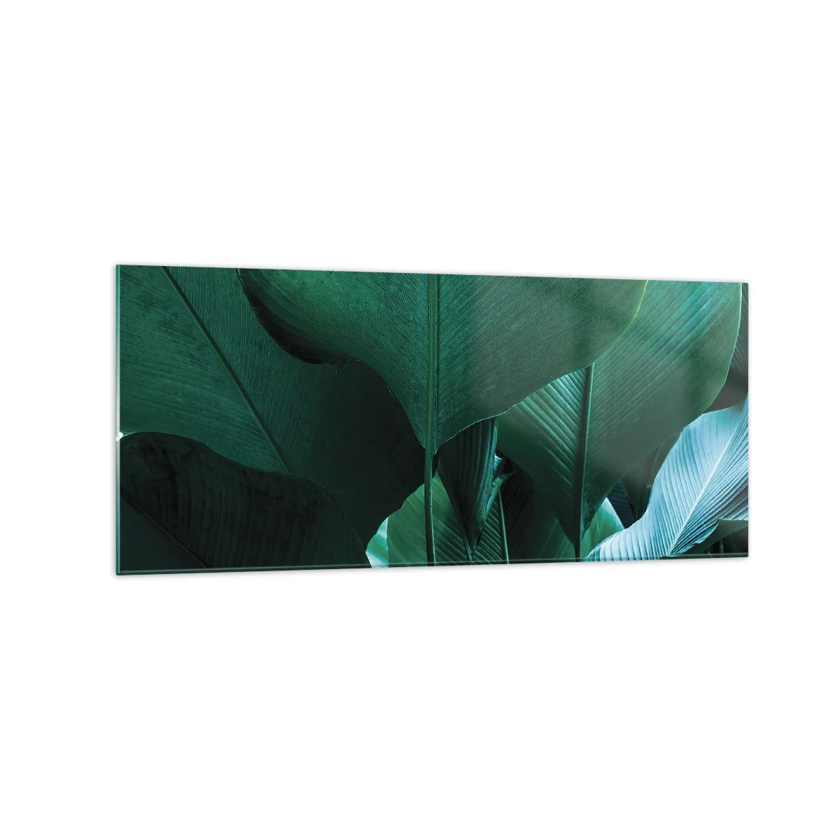 Quadro em vidro - De frente para a luz - 120x50 cm