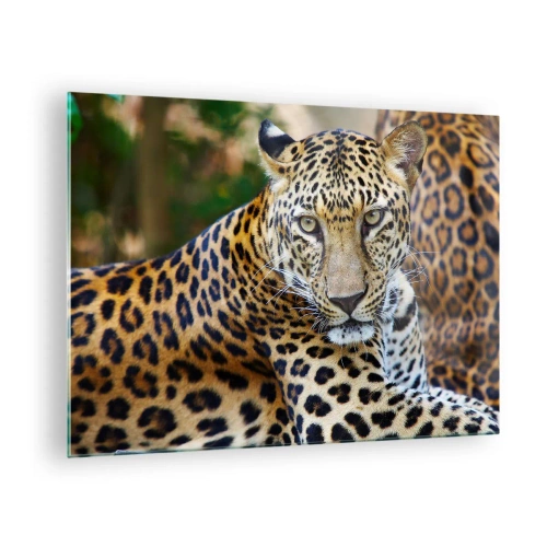 Quadro em vidro - Um leopardo selvagem descansando entre a vegetação - 70x50cm - Selvagem e tranquilo - Decoração de parede moderna para a sala de estar e quarto ARTTOR