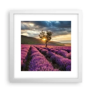 Pôster em moldura branca - Aroma lilás - 30x30 cm