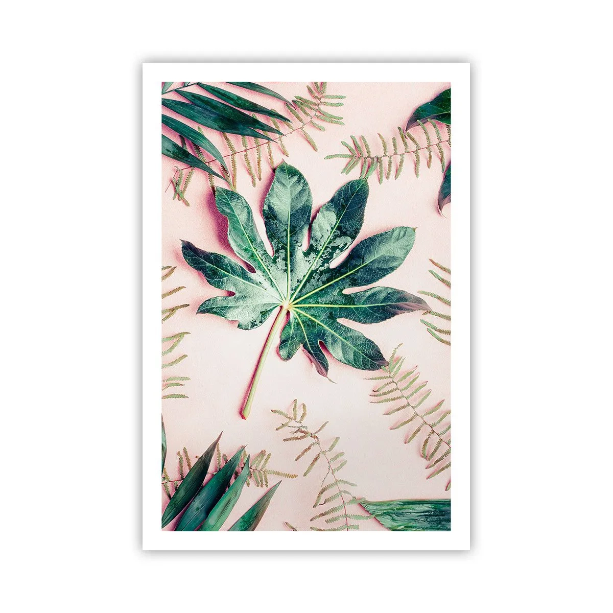 Pôster - Estudo do verde em um fundo rosa - 61x91 cm