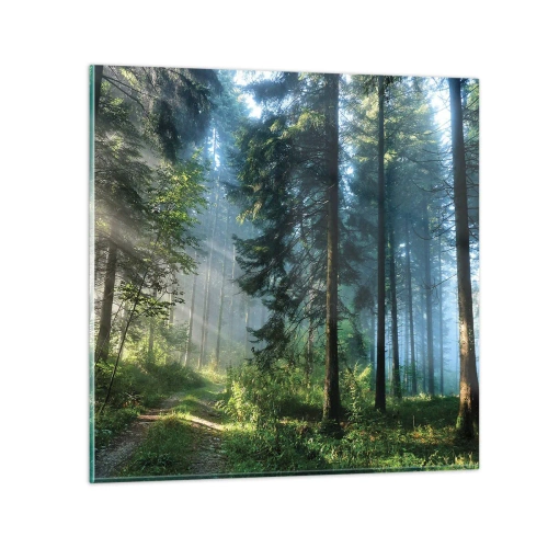 Quadro em vidro - Radiante de manhã - 70x70 cm