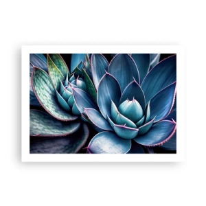 Pôster - Força vital - 70x50 cm