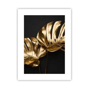 Pôster - Tesouros da natureza - 30x40 cm