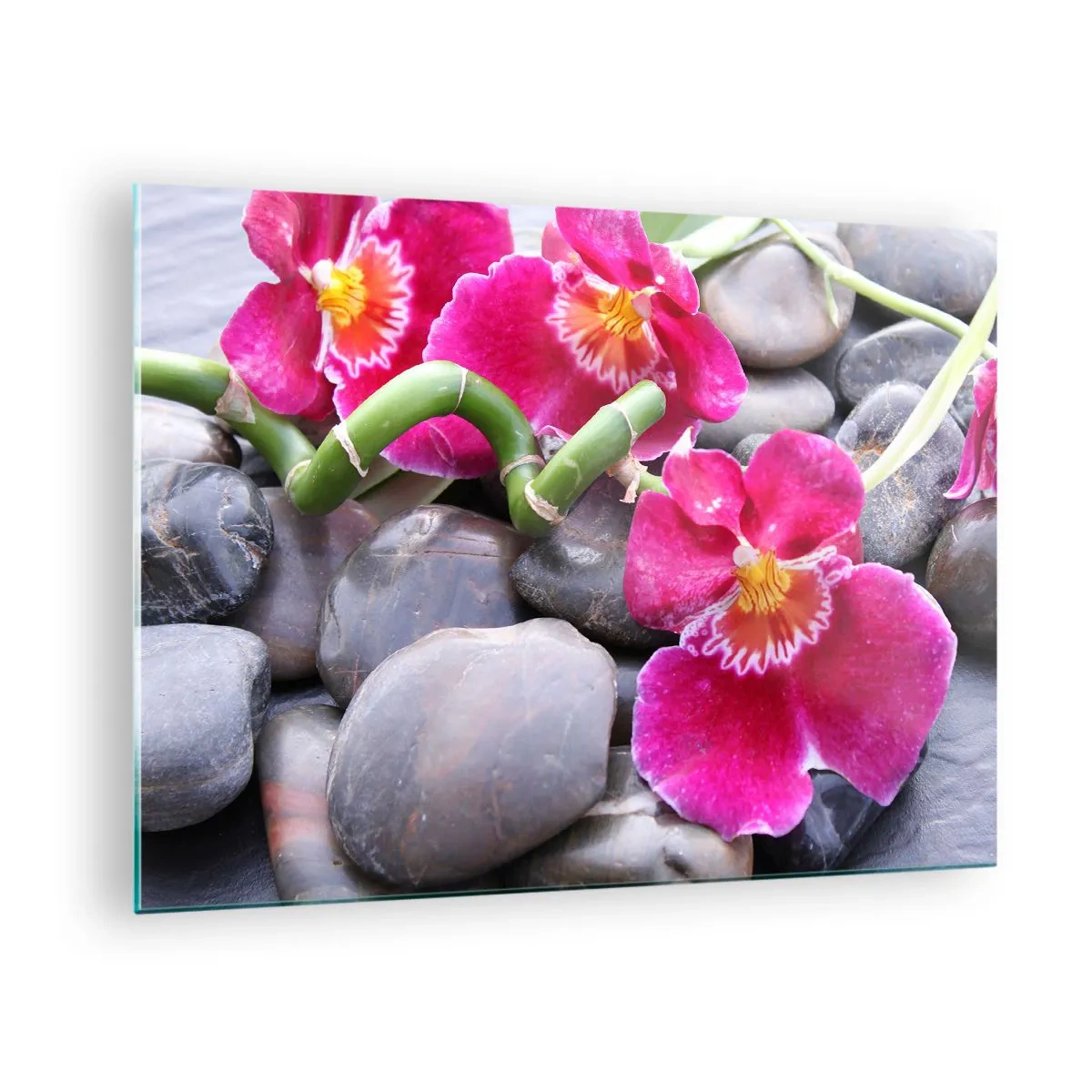 Quadro em vidro - Orquídeas rosas com bambu em pedras - 70x50cm - Frio e calor - Decoração de parede moderna para a sala de estar e quarto ARTTOR