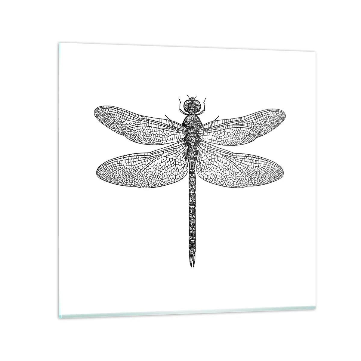 Quadro em vidro - Precisão da natureza - 50x50 cm
