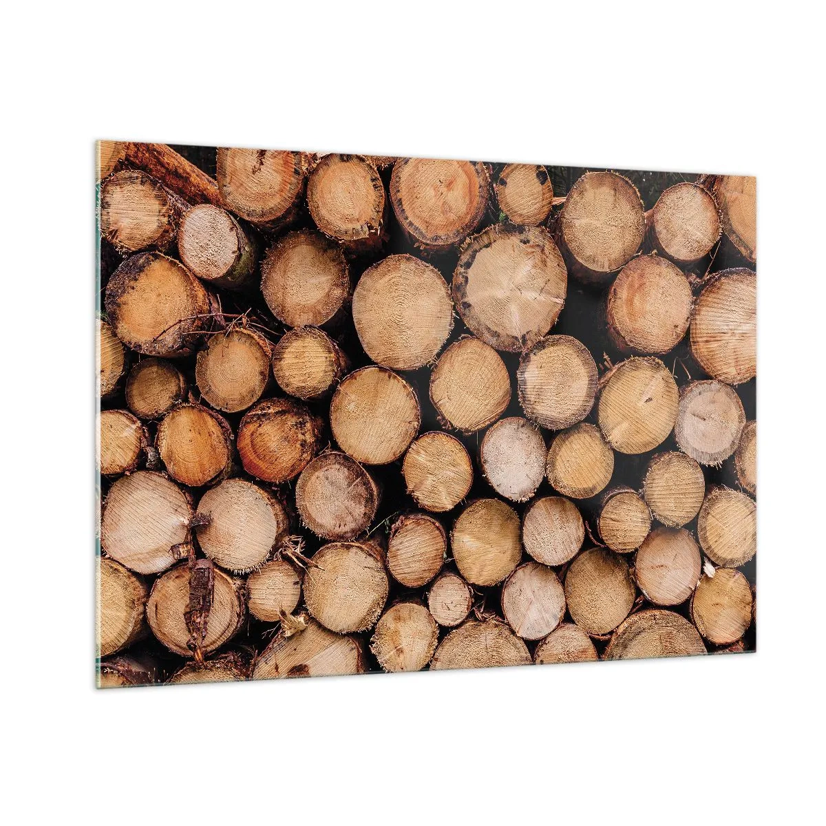 Quadro em vidro - Um novo começo - 100x70 cm