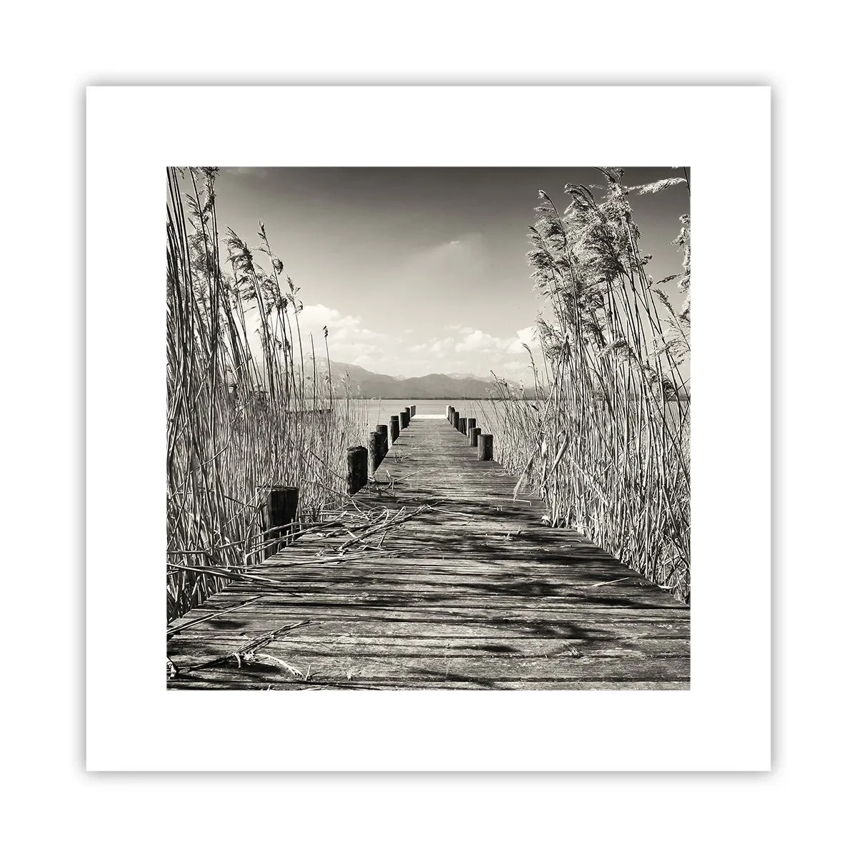 Pôster - No silêncio da relva - 30x30 cm