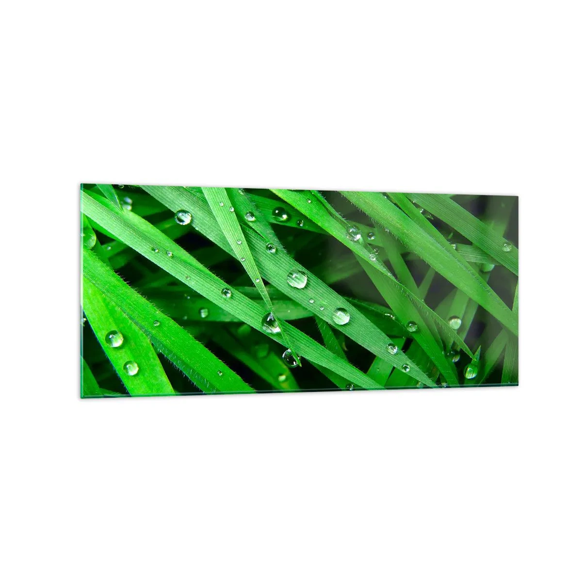 Quadro em vidro - Jogue no verde - 120x50 cm