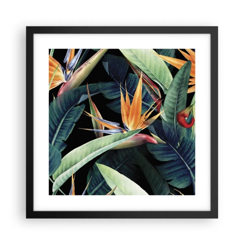 Pôster com moldura preta - Flores ardentes dos trópicos - 40x40 cm