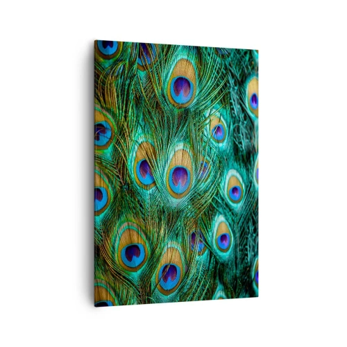 Quadro em tela - Um olhar de pavão - 70x100 cm