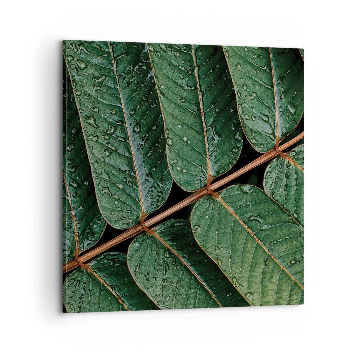 Quadro em tela - Num ritmo verde - 60x60 cm