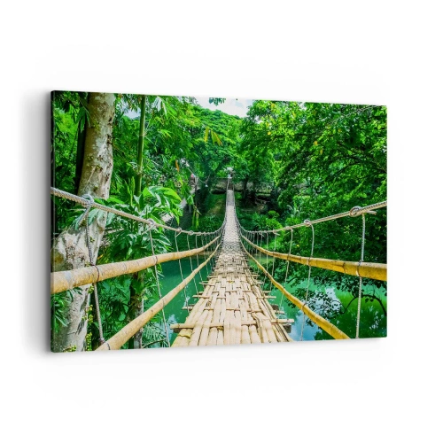 Quadro em tela - Ponte de macacos sobre a vegetação - 120x80 cm