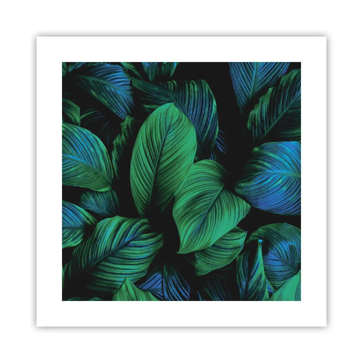 Pôster - Na multidão verde - 40x40 cm