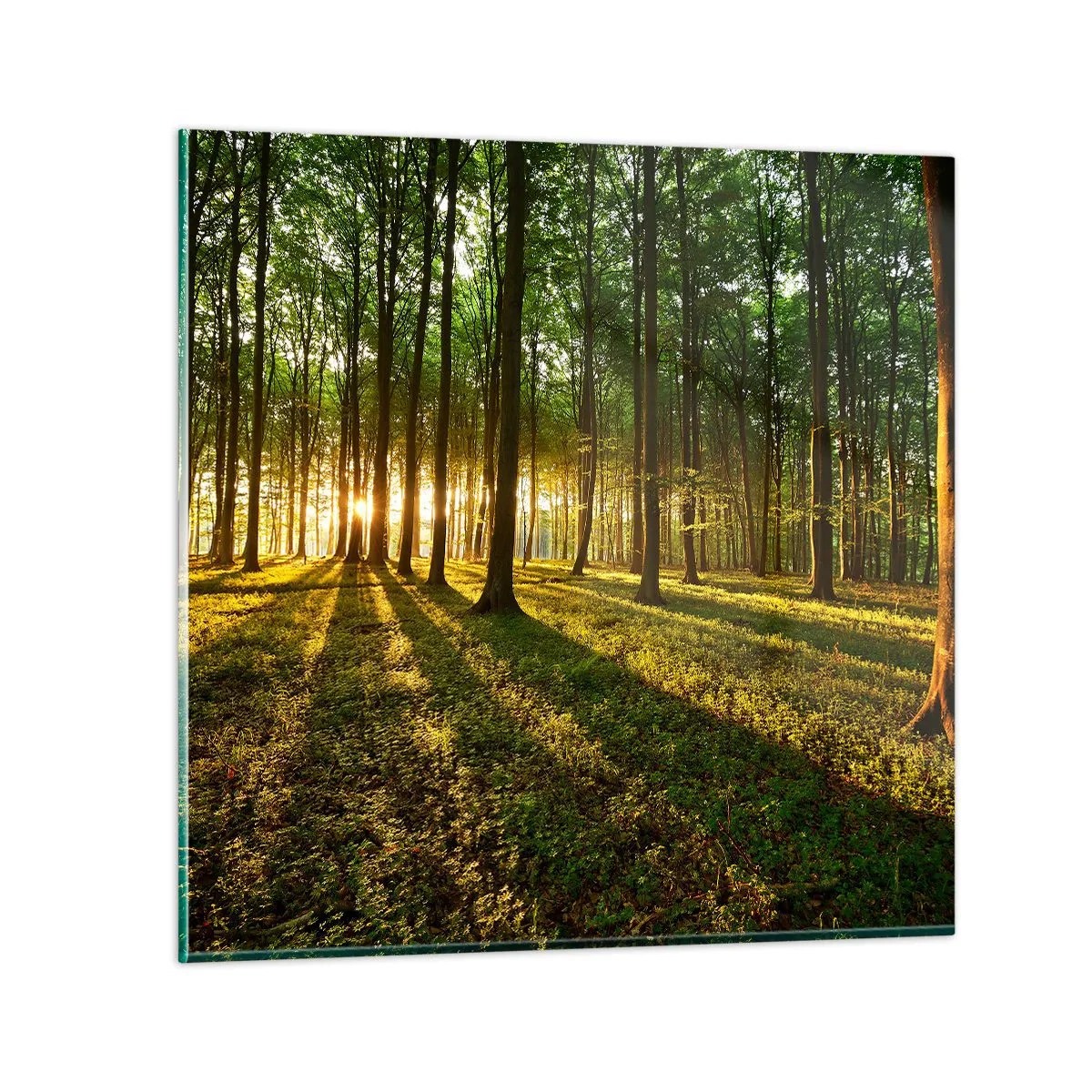 Quadro em vidro - Fotografia de todas as primaveras - 30x30 cm