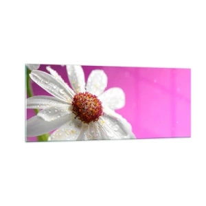 Quadro em vidro - Modesto em sua beleza - 100x40 cm