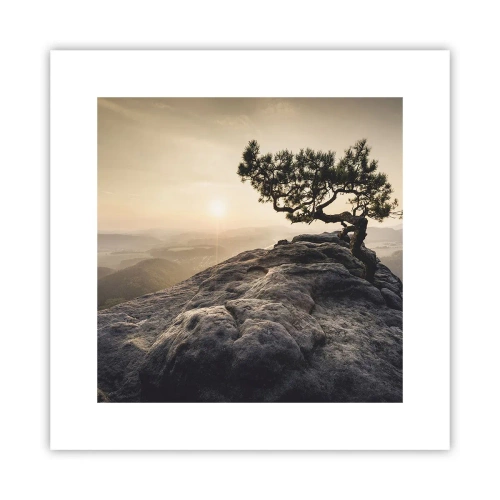 Pôster - A vida ganha sempre - 30x30 cm