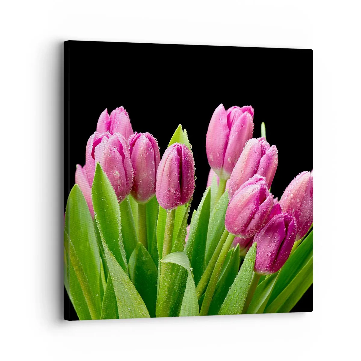 Quadro em tela - Alegria lilás da primavera - 30x30 cm