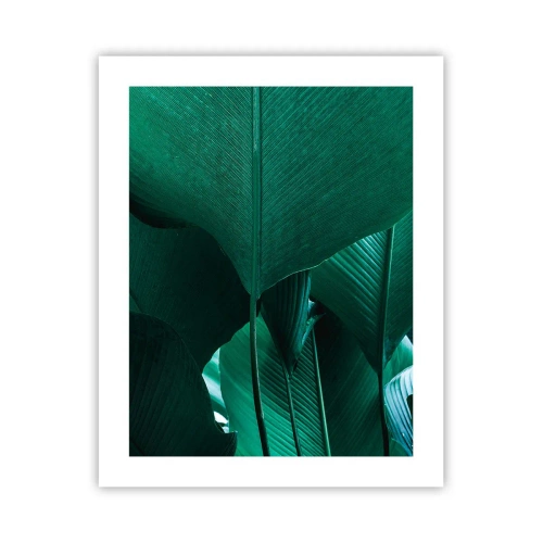 Pôster - De frente para a luz - 40x50 cm