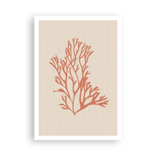 Pôster - Filigrana coral - 70x100 cm