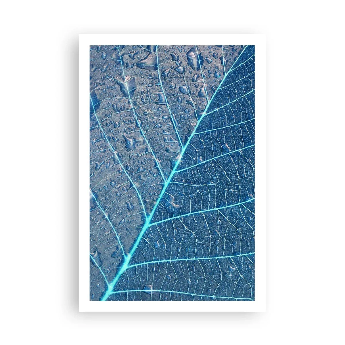 Pôster - A vida em azul - 61x91 cm