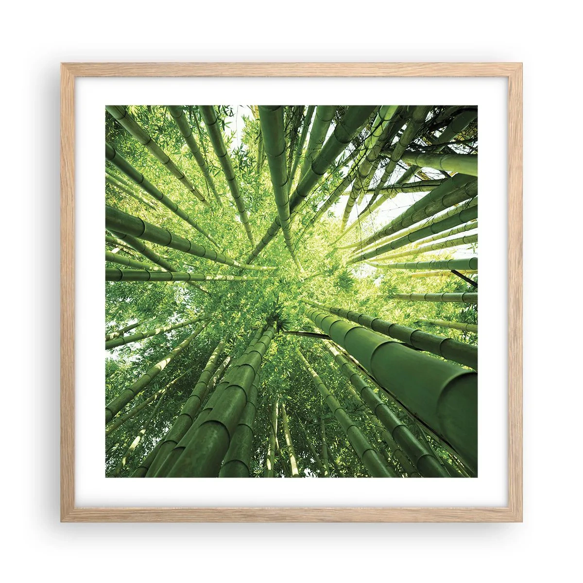 Pôster com moldura de carvalho claro - Em um bosque de bambu - 50x50 cm