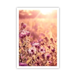 Pôster - Antes do verão acabar - 70x100 cm