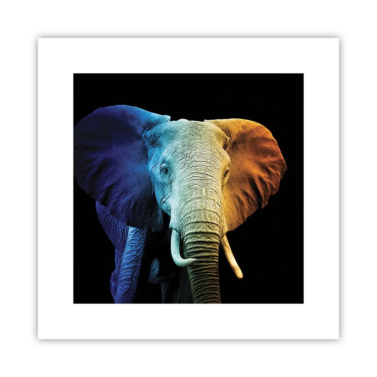 Pôster - Excêntrico, não esquisito - 30x30 cm