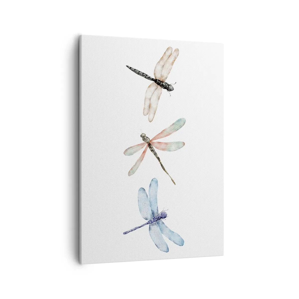 Quadro em tela - Libélulas sem peso - 50x70 cm