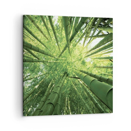 Quadro em tela - Em um bosque de bambu - 60x60 cm
