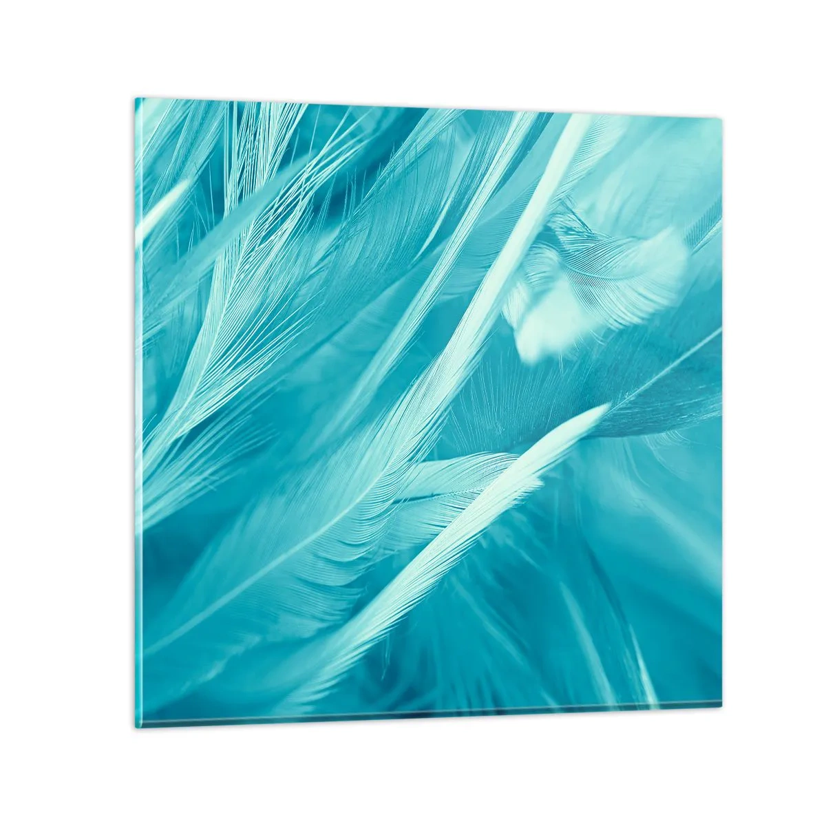 Quadro em vidro - Afogado em penugem - 60x60 cm