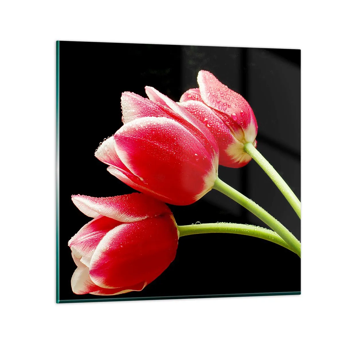 Quadro em vidro - A promessa do amor puro - 40x40 cm