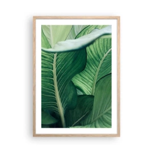 Pôster com moldura de carvalho claro - Vida intensamente verde - 50x70 cm