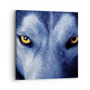 Quadro em tela - Olhar hipnotizante - 30x30 cm