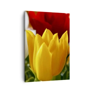 Quadro em tela - Febre das tulipas - 50x70 cm