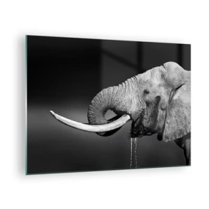 Quadro em vidro - Retrato em preto e branco de um elefante com tromba - 70x50cm - Sim, agora está tudo bem - Decoração de parede moderna para a sala de estar e quarto ARTTOR