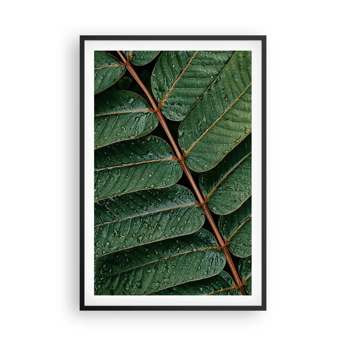 Pôster com moldura preta - Num ritmo verde - 61x91 cm