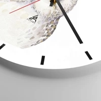 Mostrador com traços