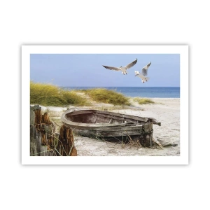 Pôster - Banhado pelo vento - 70x50 cm