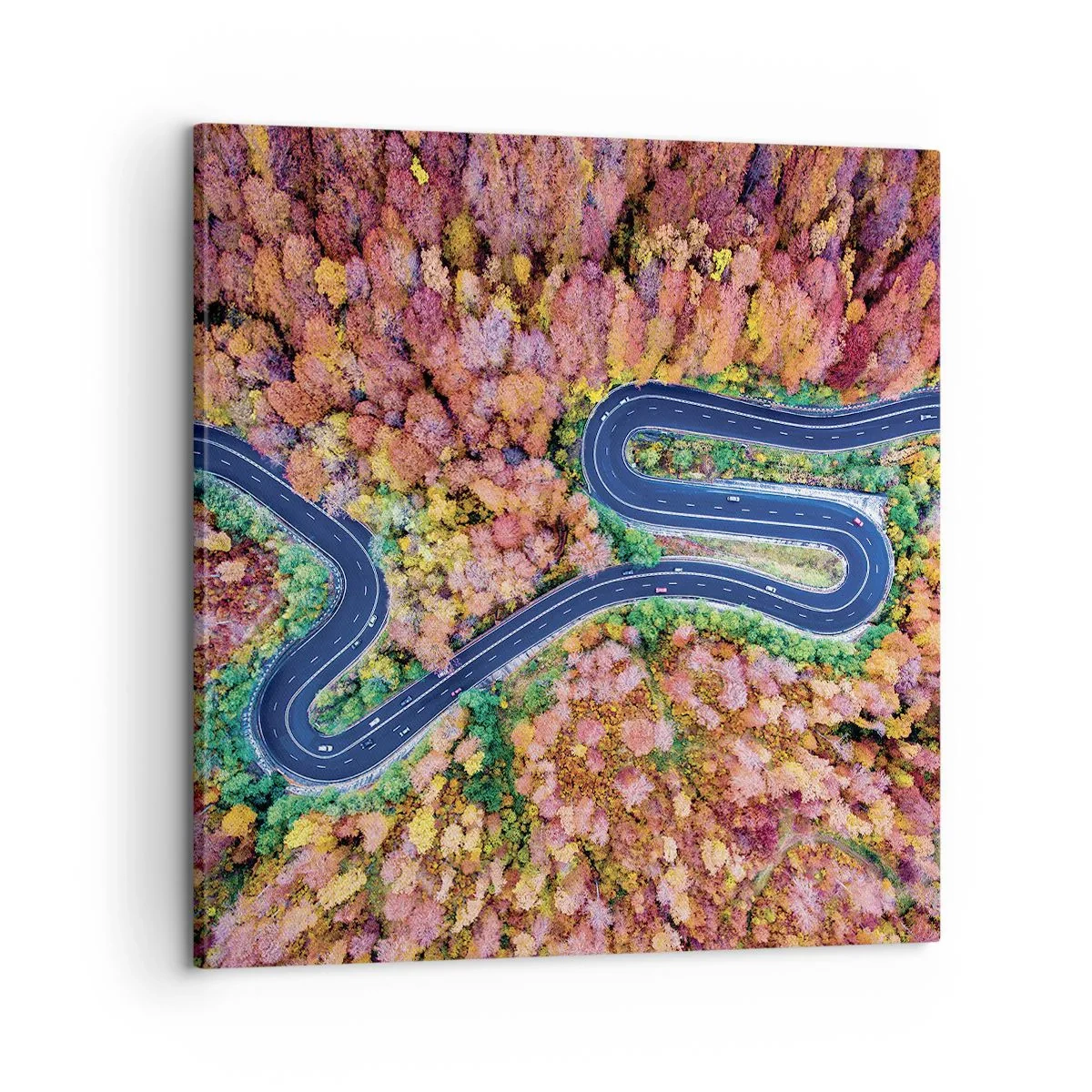 Quadro em tela - Estrada sinuosa pela floresta - 60x60 cm