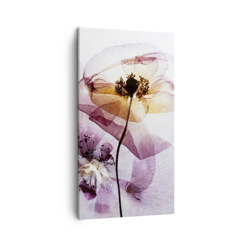 Quadro em tela - A transparência das flores - 45x80 cm
