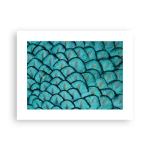 Pôster - A grande gala de penas - 40x30 cm