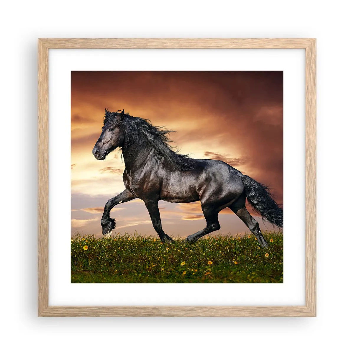 Pôster com moldura de carvalho claro - O Príncipe Negro - 40x40 cm